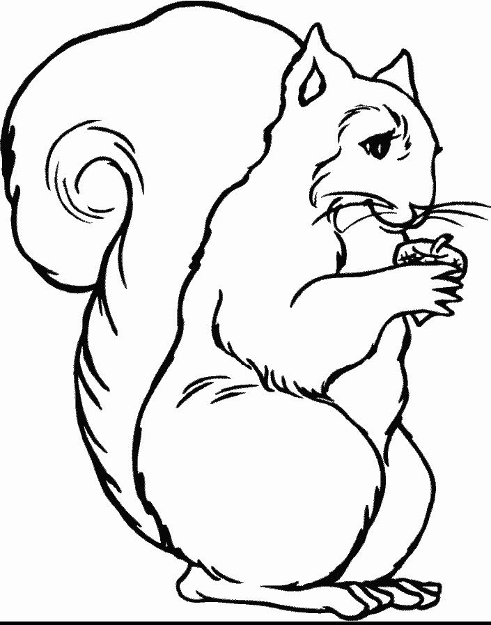 Arboreal Rodent coloring #7, Download drawings