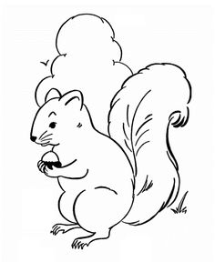 Arboreal Rodent coloring #19, Download drawings