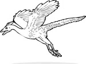 Archaeopteryx coloring #20, Download drawings