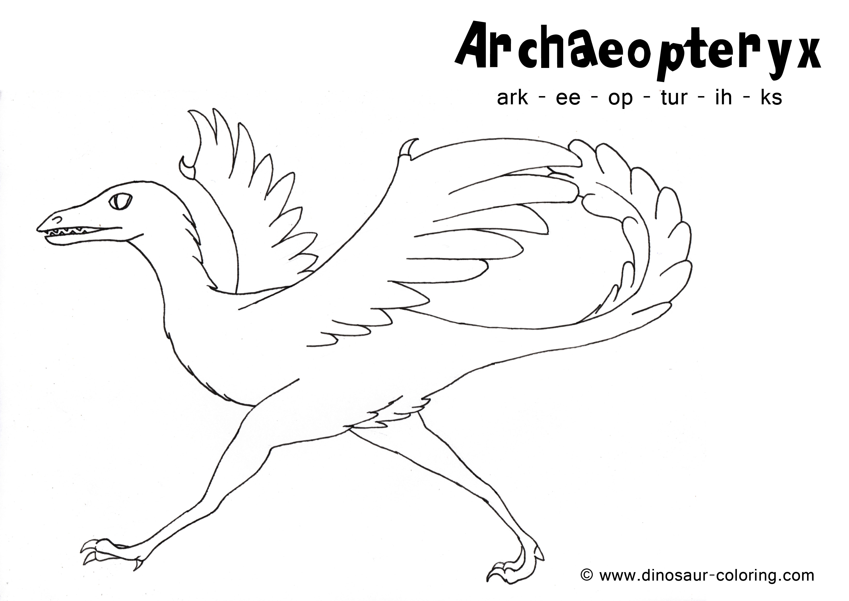 Archaeopteryx coloring #2, Download drawings
