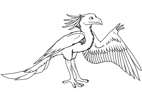 Archaeopteryx coloring #15, Download drawings