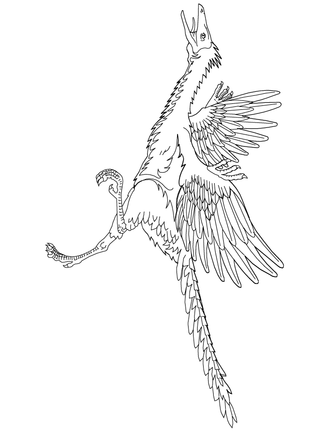 Archaeopteryx coloring #12, Download drawings