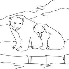 Arctic coloring #12, Download drawings