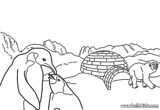 Icefloe coloring #1, Download drawings