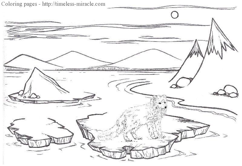 Arctic coloring #19, Download drawings