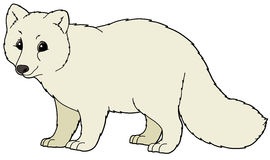 Polar Fox clipart #15, Download drawings