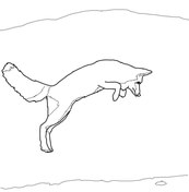 Polar Fox coloring #9, Download drawings