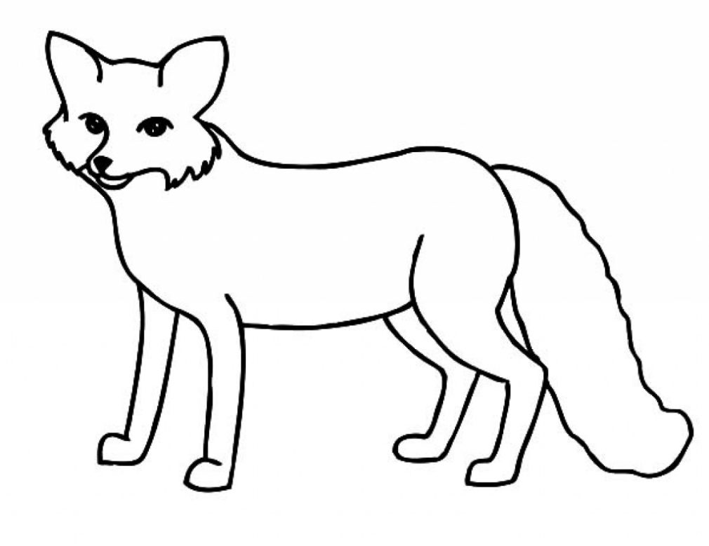 Arctic Fox coloring #11, Download drawings