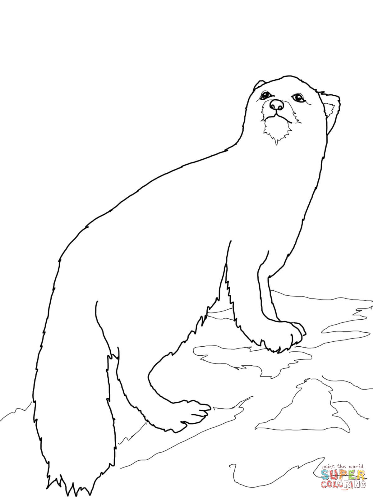 Polar Fox coloring #18, Download drawings