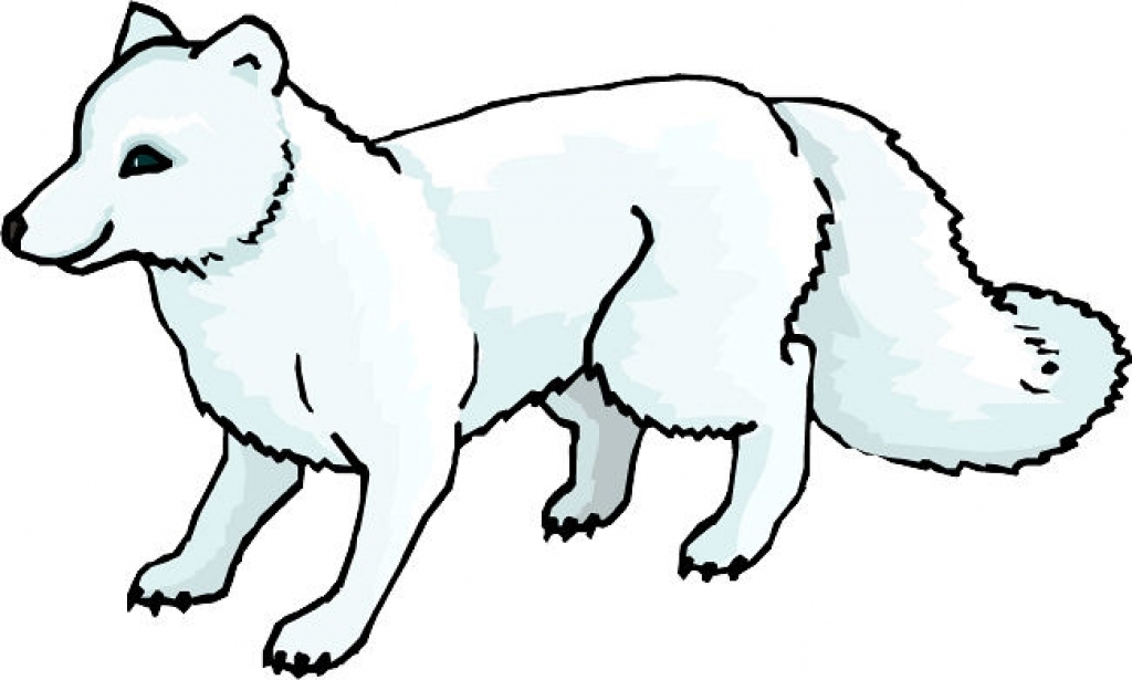 Arctic Fox coloring #1, Download drawings