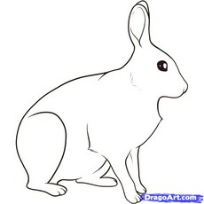 Arctic Hare clipart #20, Download drawings