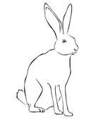 Arctic Hare clipart #18, Download drawings