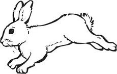 Arctic Hare clipart #19, Download drawings