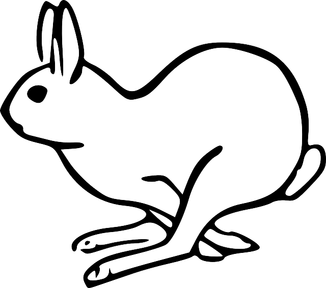 Arctic Hare svg #7, Download drawings