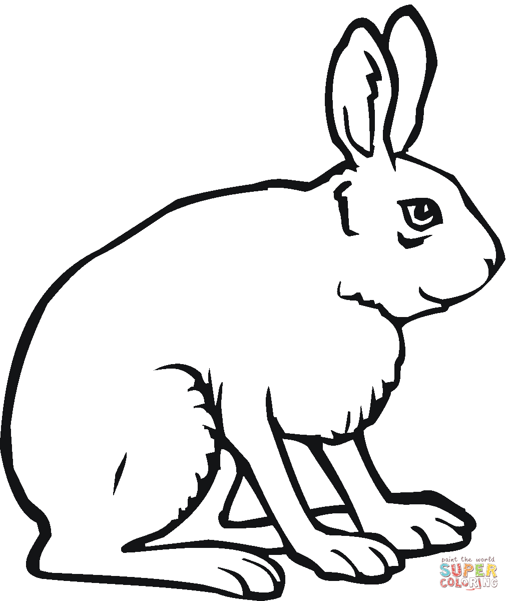 Arctic Hare coloring #19, Download drawings