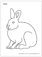Arctic Hare coloring #1, Download drawings