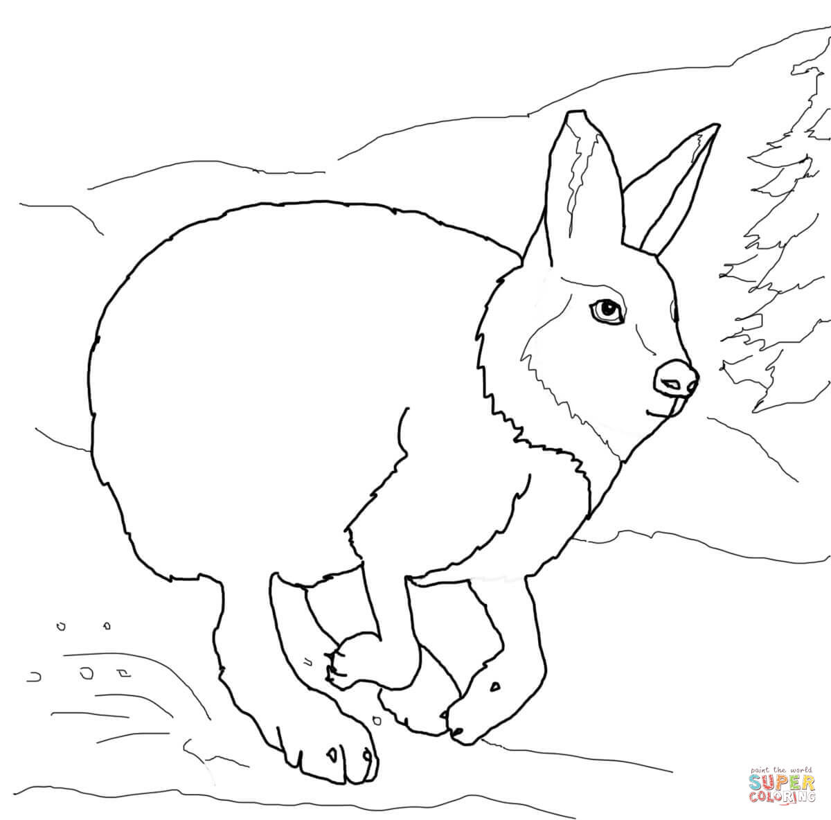 Arctic Hare coloring #14, Download drawings
