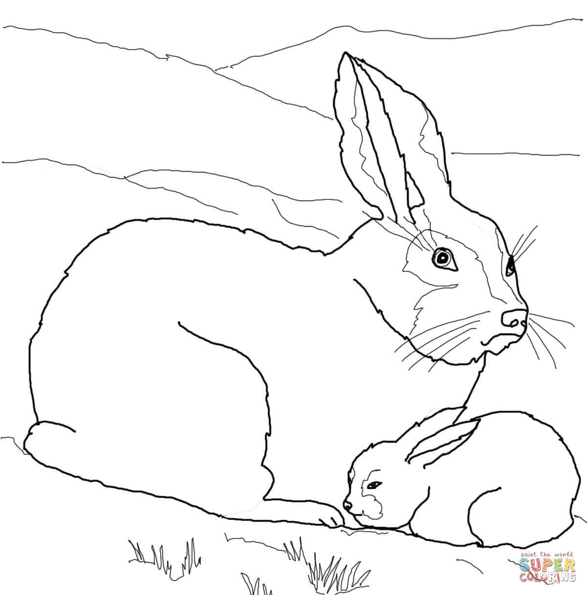 Arctic Hare coloring #9, Download drawings