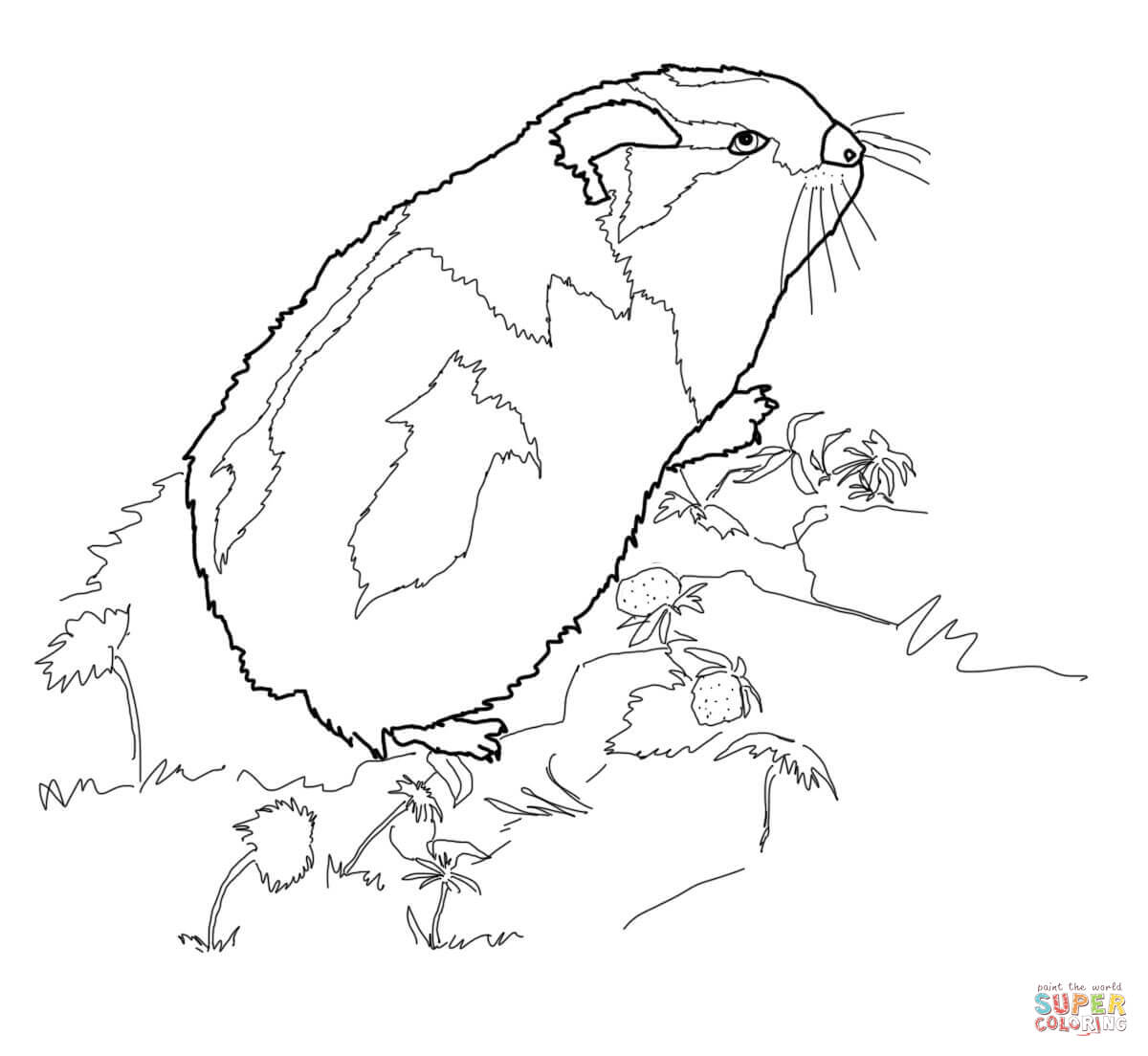 Rodent coloring #3, Download drawings
