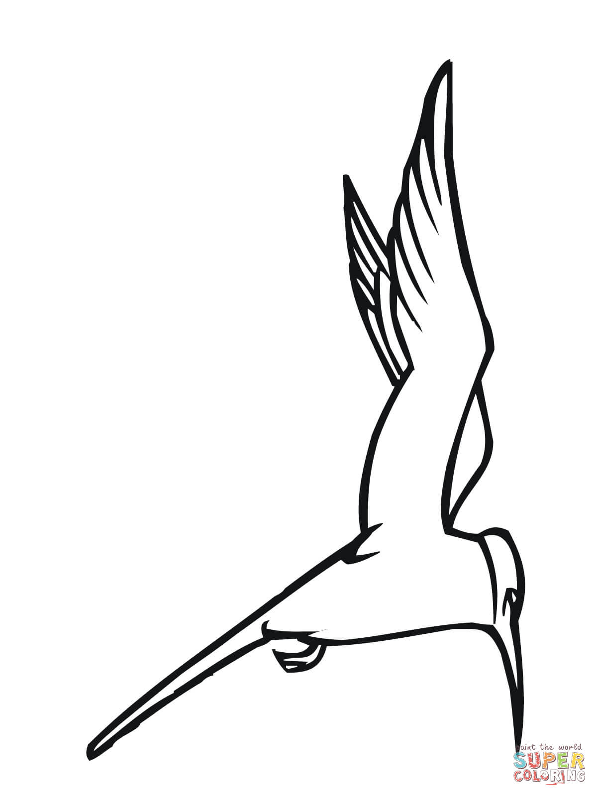 Arctic Tern coloring #7, Download drawings