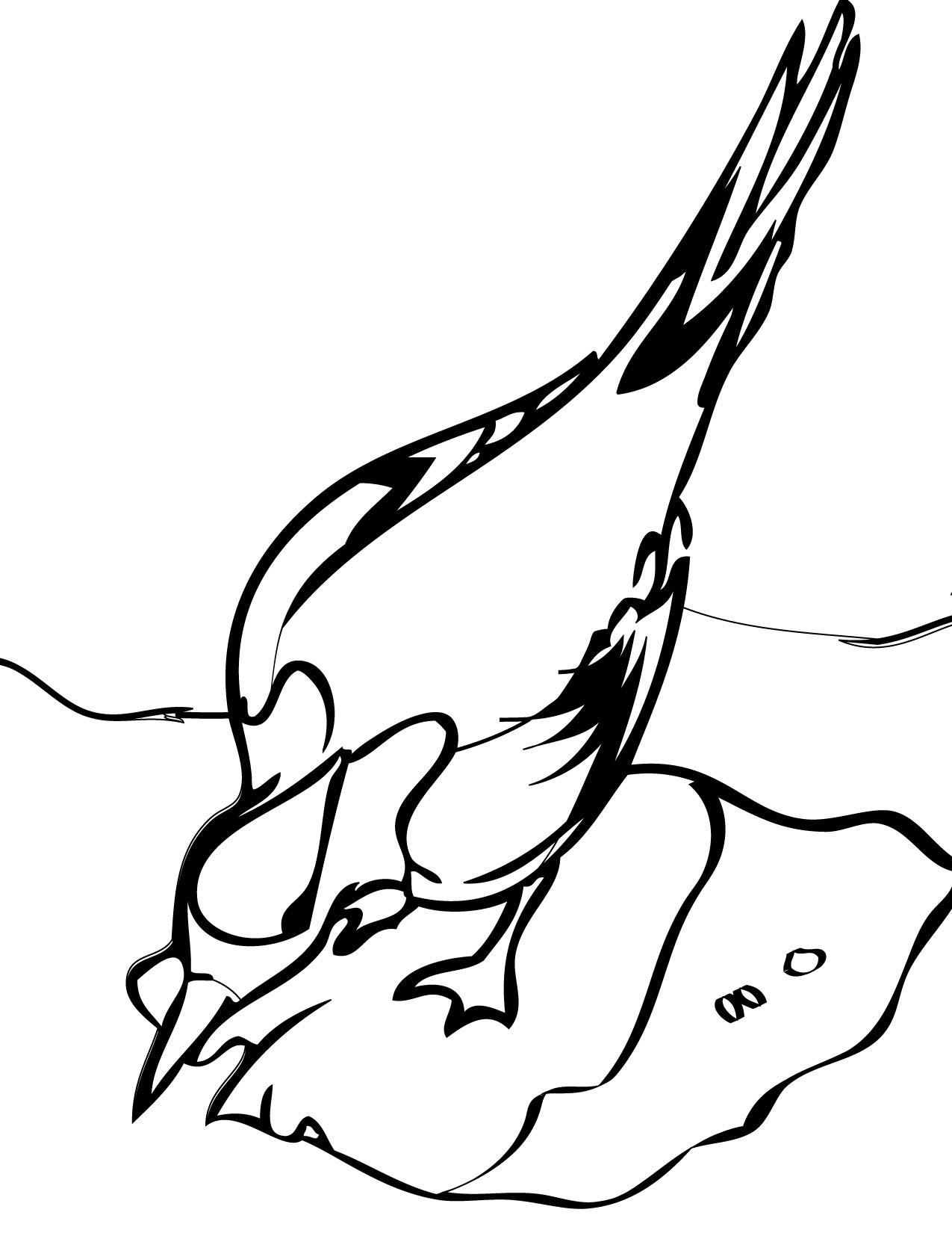 Arctic Tern coloring #6, Download drawings