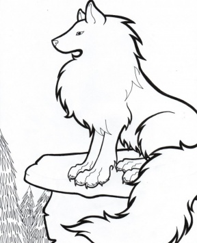 Arctic Wolf clipart #19, Download drawings