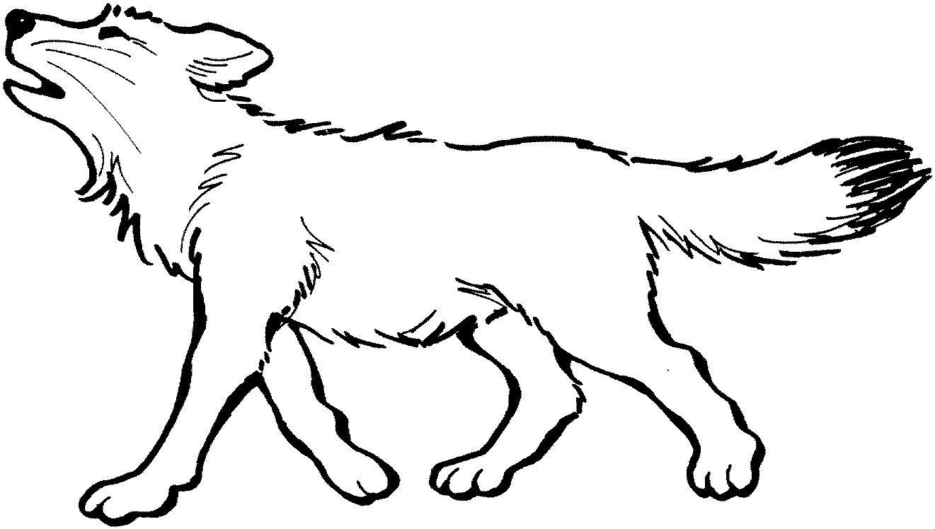 Gray Wolf coloring #19, Download drawings