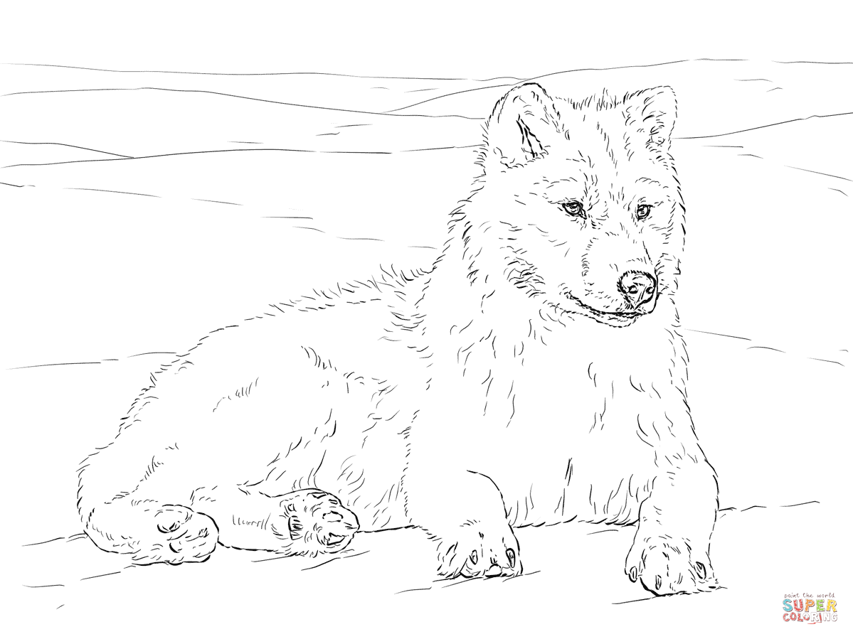 Arctic Wolf coloring #12, Download drawings