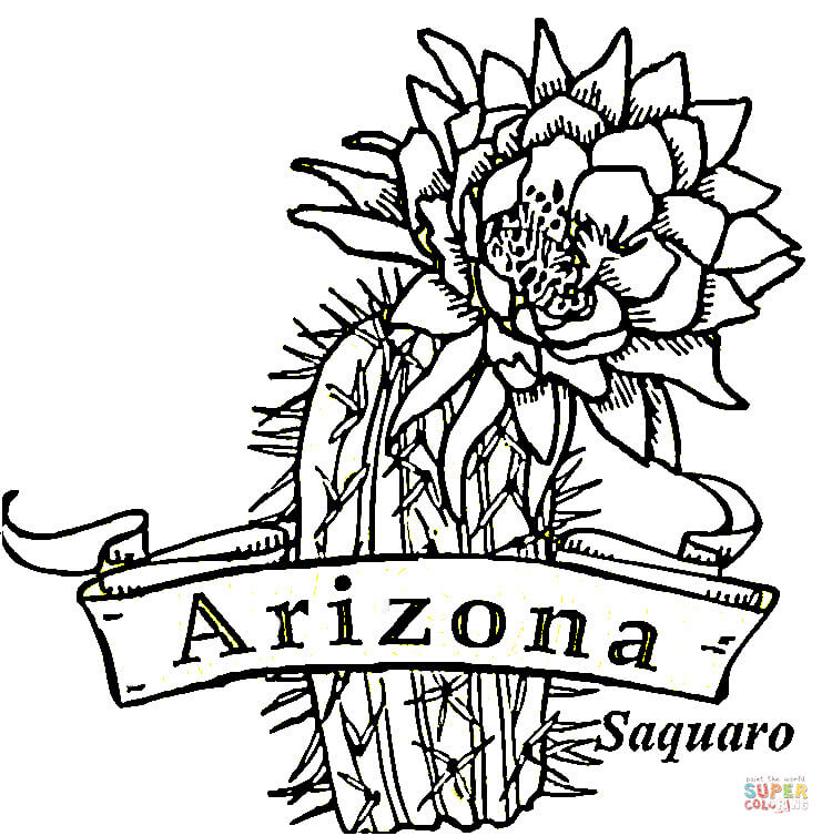 Arizona coloring #3, Download drawings