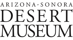 Arizona-sonora Desert Museum coloring #18, Download drawings