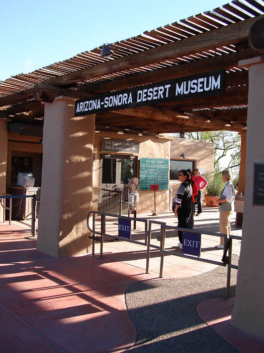 Arizona-sonora Desert Museum coloring #3, Download drawings