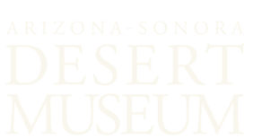 Arizona-sonora Desert Museum coloring #16, Download drawings
