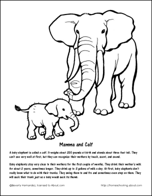 Asian Elephant coloring #15, Download drawings