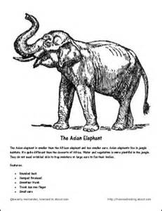 Asian Elephant coloring #18, Download drawings