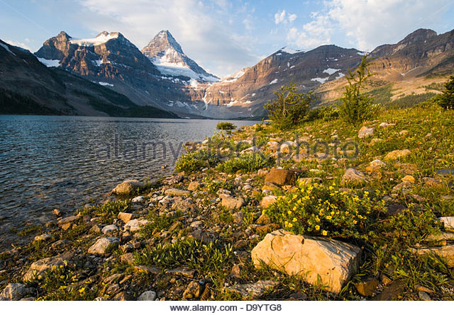 Mount Assiniboine coloring #5, Download drawings