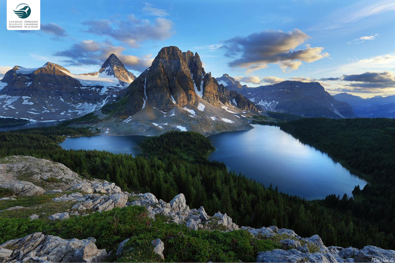 Mount Assiniboine svg #12, Download drawings