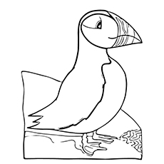 Puffin coloring #18, Download drawings