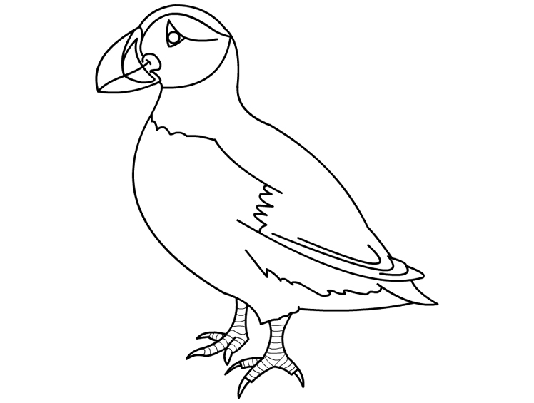 Puffin coloring #7, Download drawings