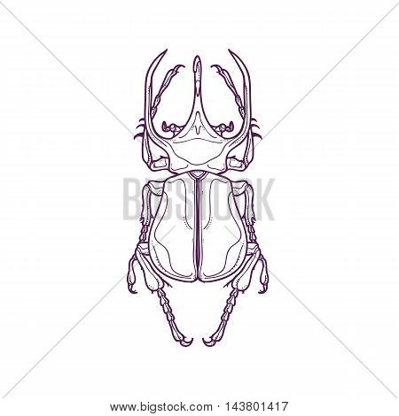 Atlas Beetle coloring #7, Download drawings