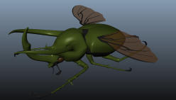 Atlas Beetle svg #7, Download drawings