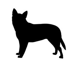 Australian Cattle Dog clipart #15, Download drawings