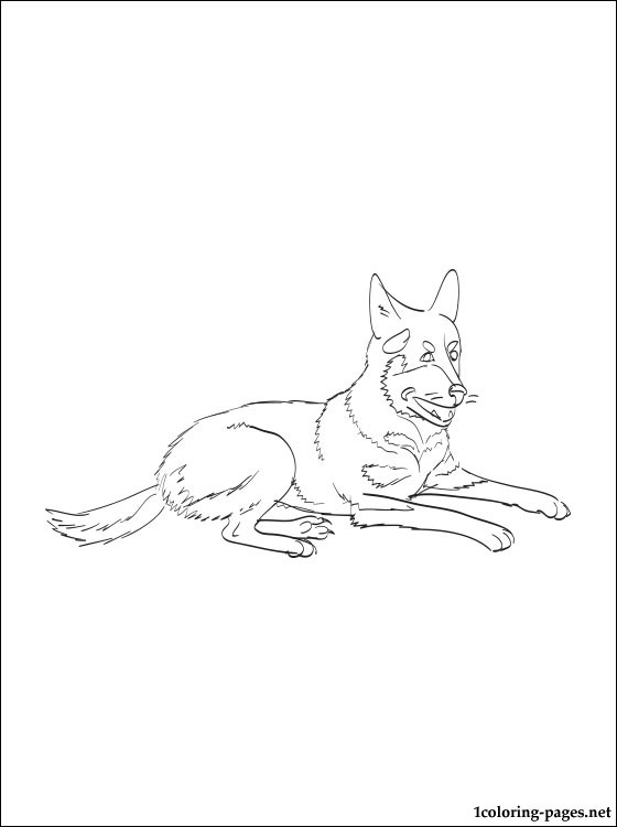 Australian Cattle Dog coloring #9, Download drawings