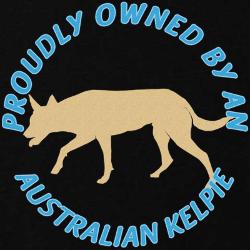 Australian Kelpie svg #11, Download drawings