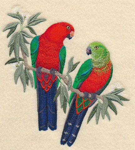 Australian King-Parrot svg #13, Download drawings