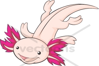 Axolotl clipart #3, Download drawings