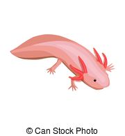Axolotl clipart #20, Download drawings