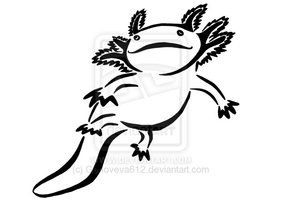 Axolotl clipart #13, Download drawings