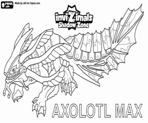 Axolotl coloring #15, Download drawings