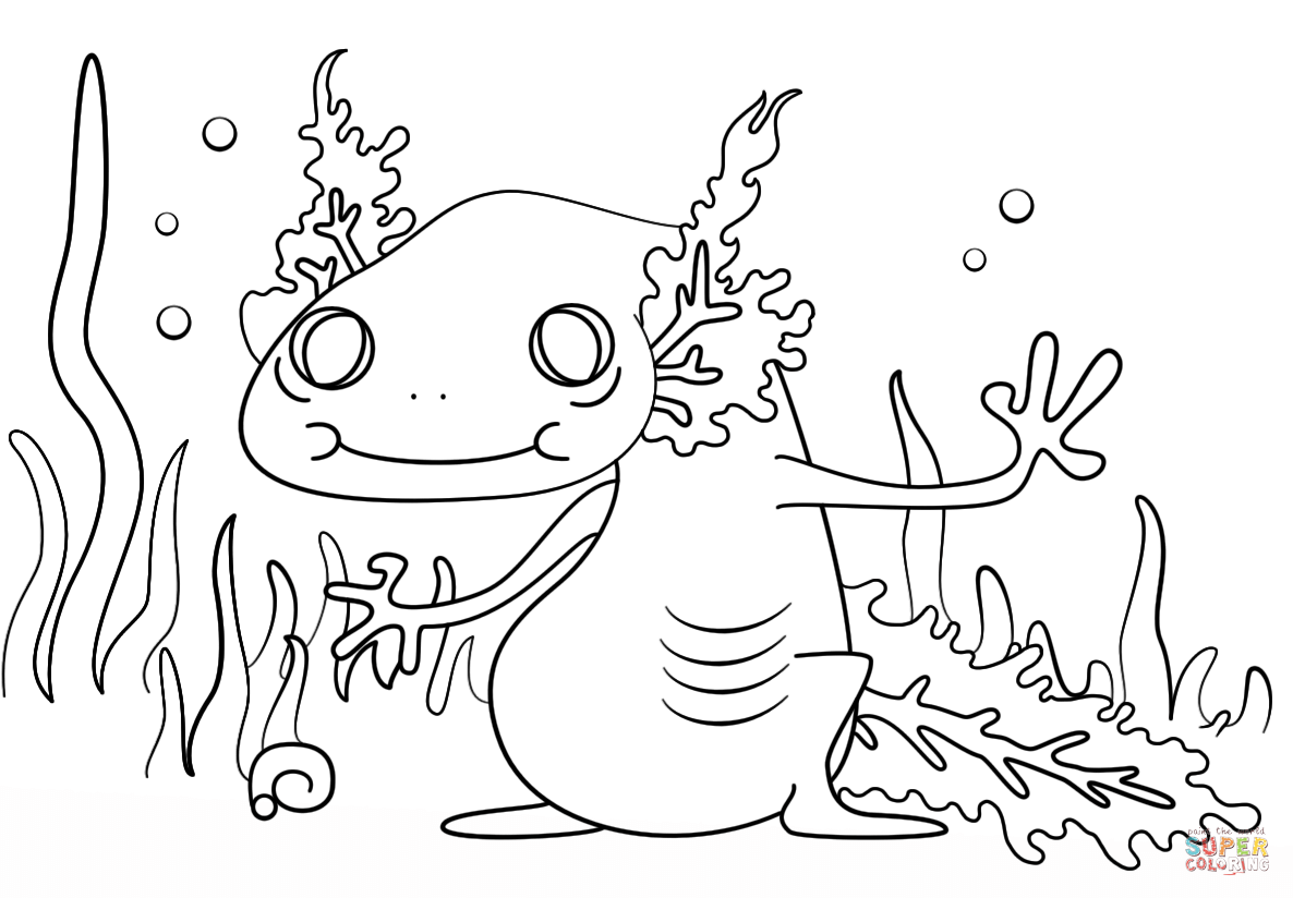 Axolotl coloring #14, Download drawings