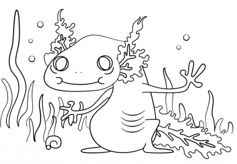 Axolotl coloring #16, Download drawings
